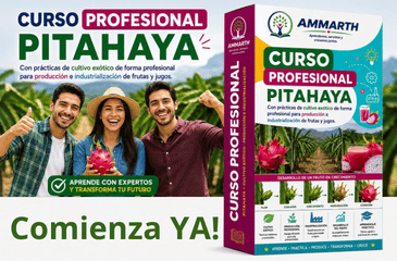 curso de pitahaya sw